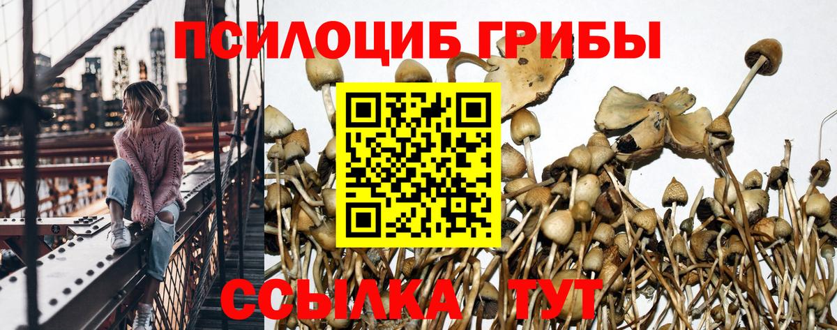 Псилоцибиновые грибы мицелий  Галлюциногенные грибы Psilocybe  Вход с VPN  Ревда 