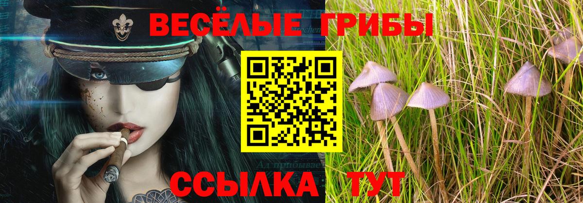 Псилоцибиновые грибы мицелий Ревда